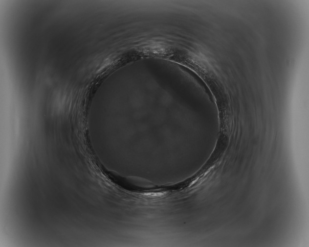 X0000087321297200704201103