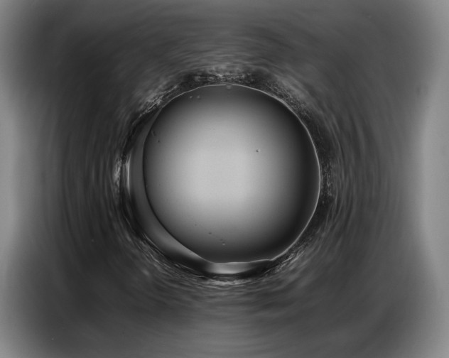 X0000087321298200704201103