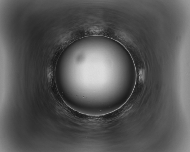 X0000087321299200704201103