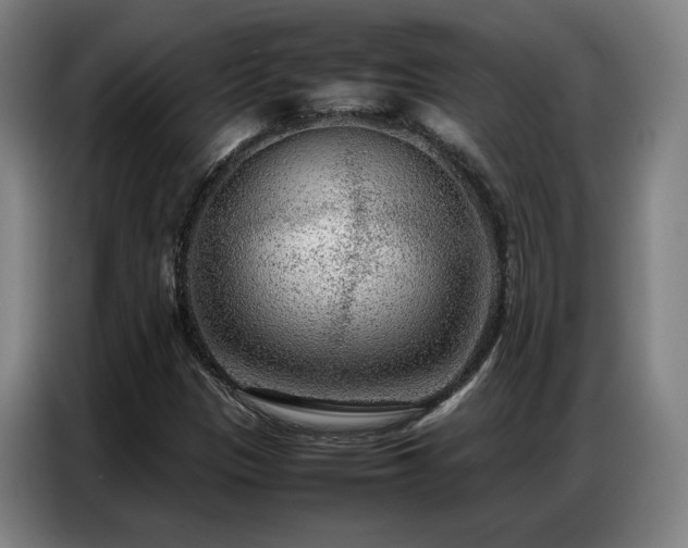 X0000087321305200704201103