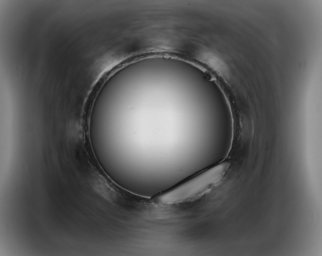 X0000087321308200704201103