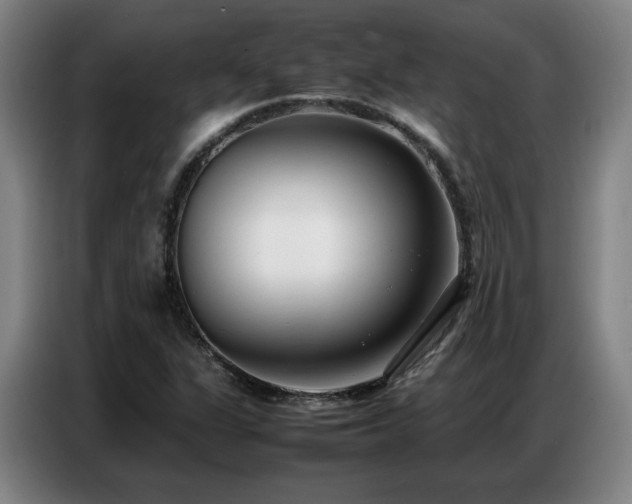 X0000087321311200704201103