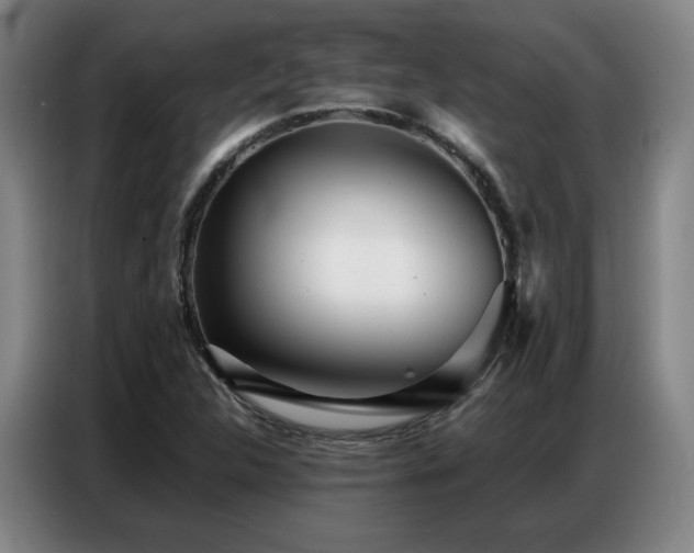 X0000087321312200704201103