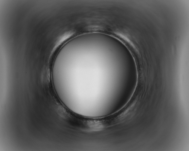 X0000087321317200704201103