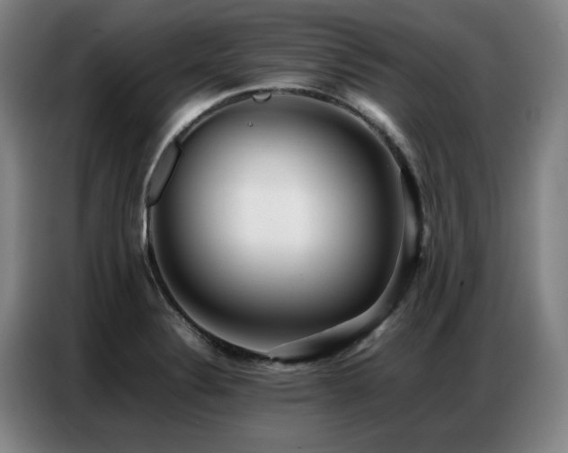 X0000087321324200704201103