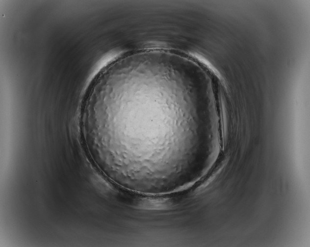 X0000087321325200704201103