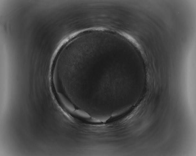 X0000087321327200704201103