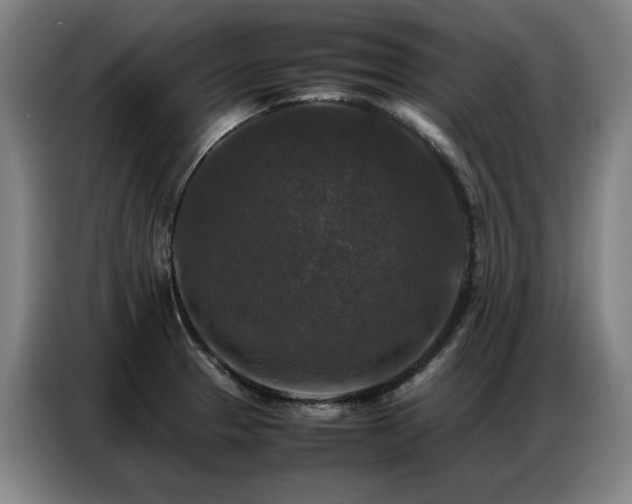 X0000087321329200704201103
