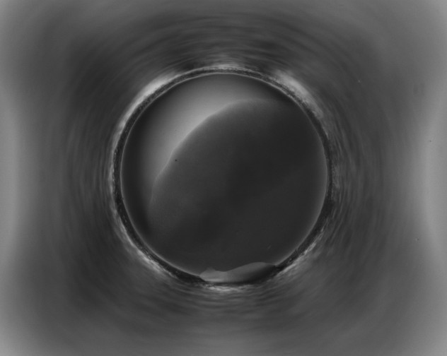 X0000087321331200704201103
