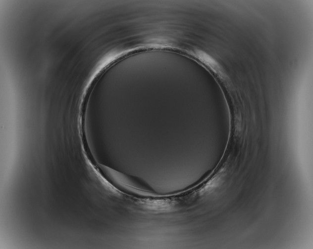 X0000087321334200704201103