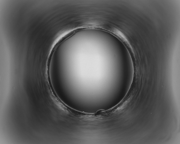 X0000087321336200704201103
