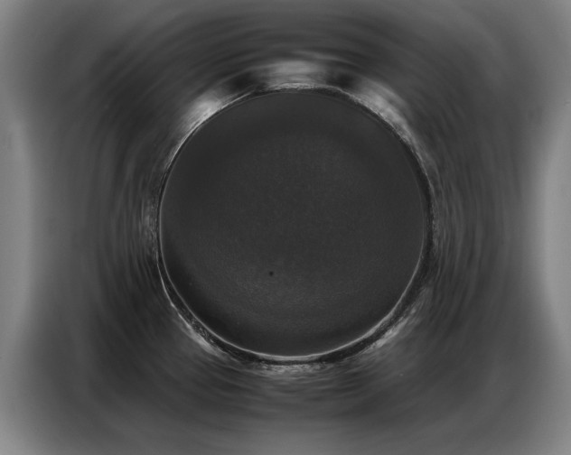 X0000087321337200704201103