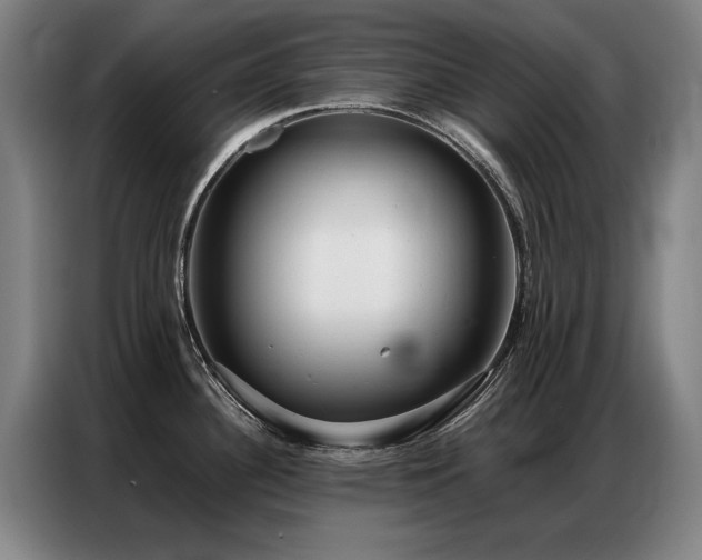 X0000087321340200704201103