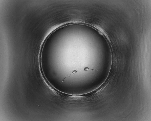 X0000087321343200704201104