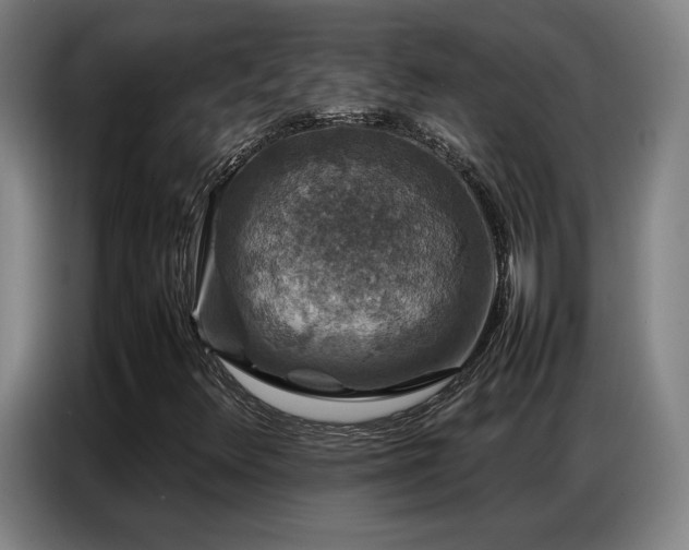X0000087321348200704201103