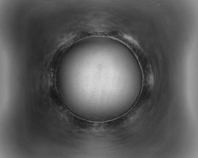 X0000087321350200704201103