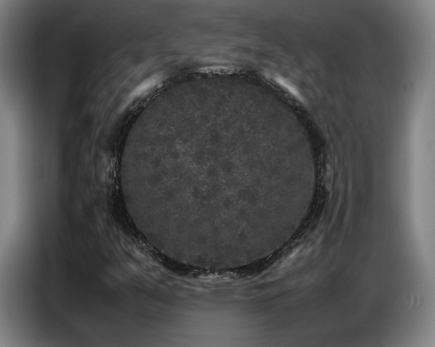 X0000087321351200704201103
