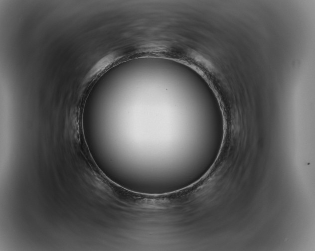 X0000087321354200704201103