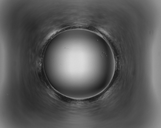 X0000087321355200704201103