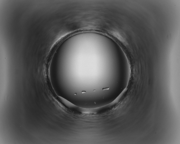 X0000087321356200704201103