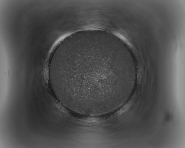 X0000087321358200704201103