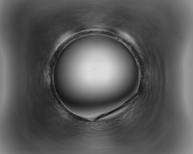 X0000087321360200704201103