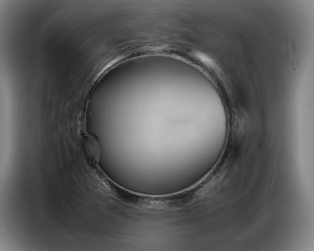 X0000087321361200704201103