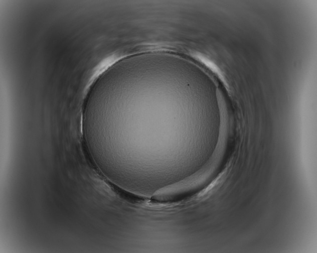 X0000087321365200704201103