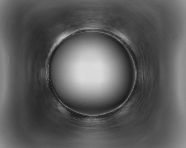 X0000087321366200704201103