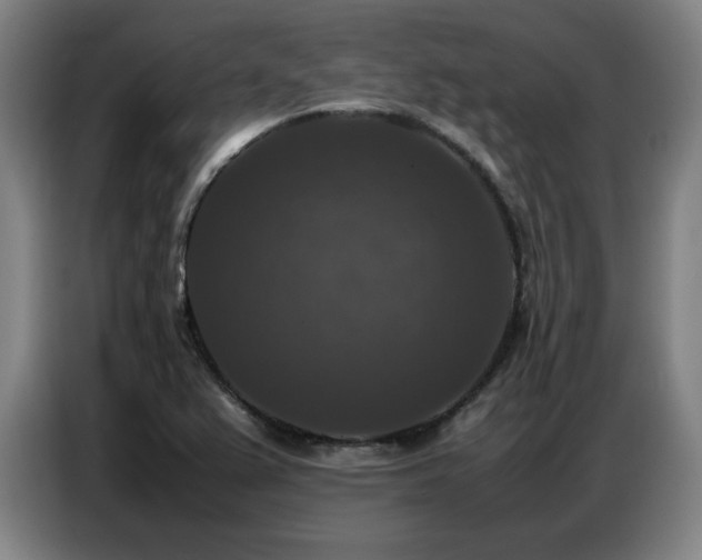 X0000087321367200704201103