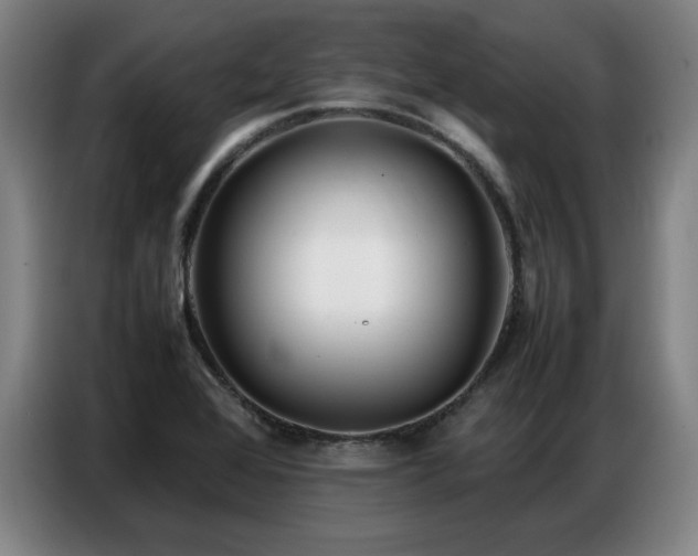 X0000087321368200704201103