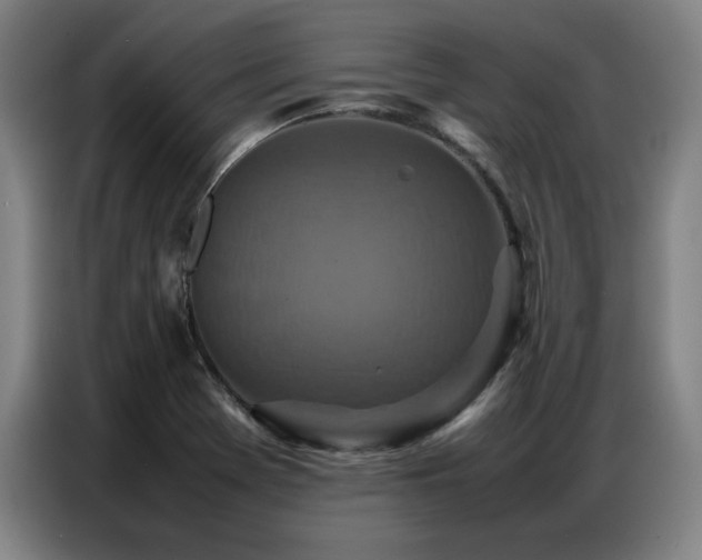X0000087321369200704201103