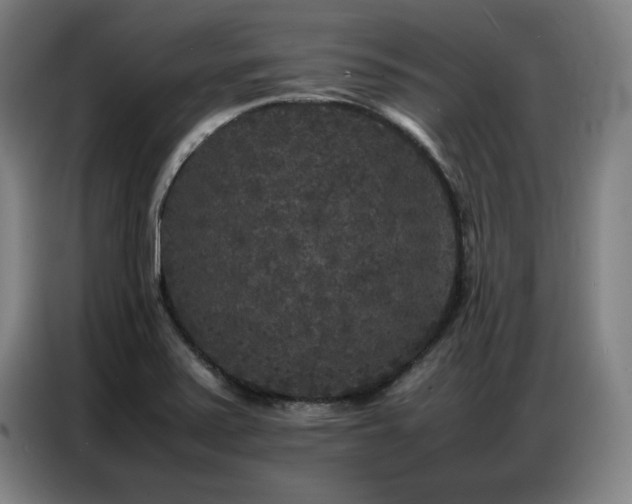 X0000087321371200704201103