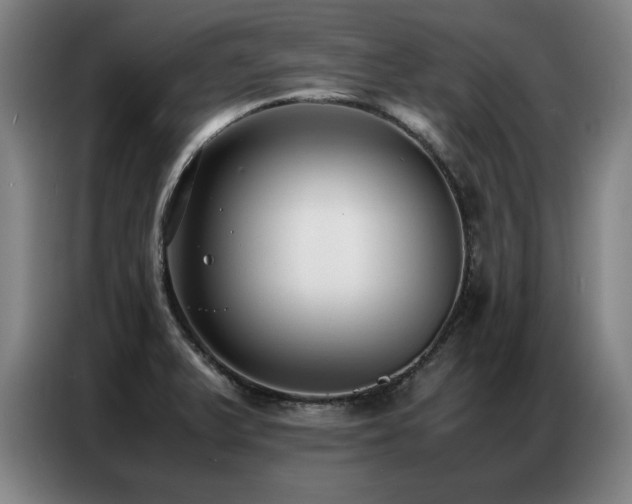 X0000087321375200704201103