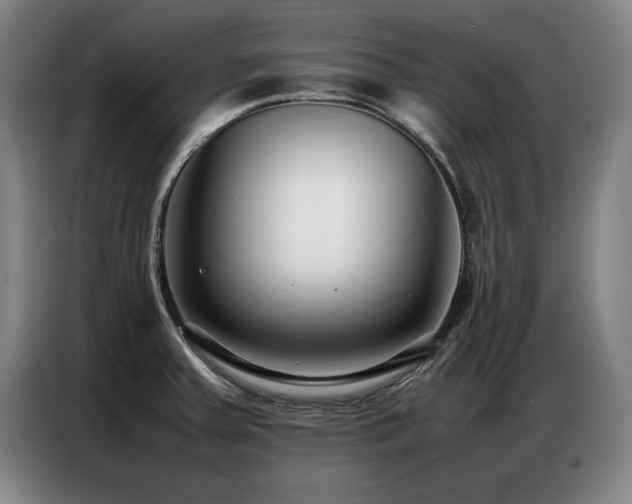 X0000087321379200704201103
