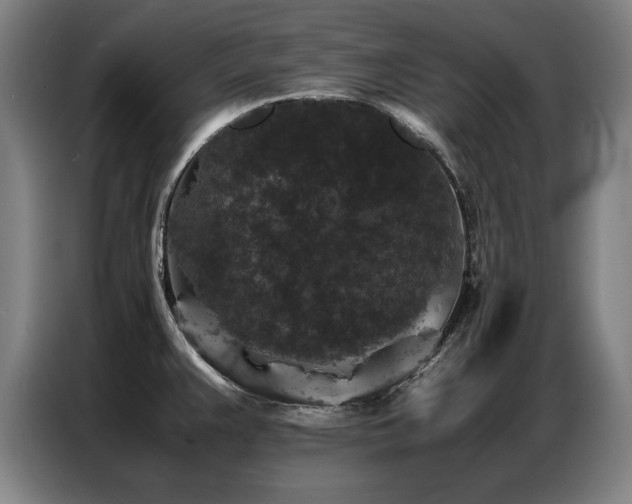 X0000087321383200704201103