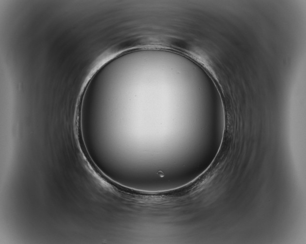 X0000087321387200704201102