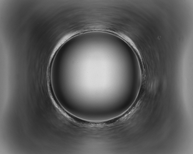 X0000087321389200704201102