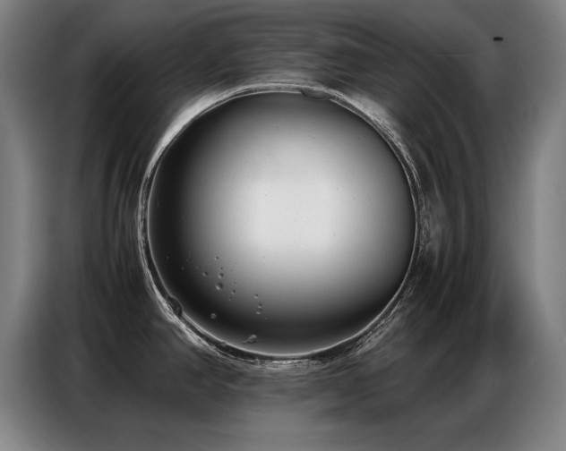 X0000087321390200704201102