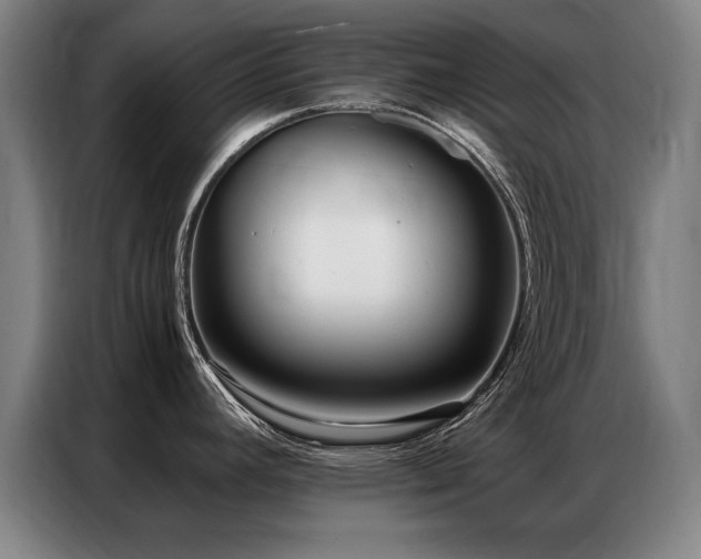 X0000087321392200704201102
