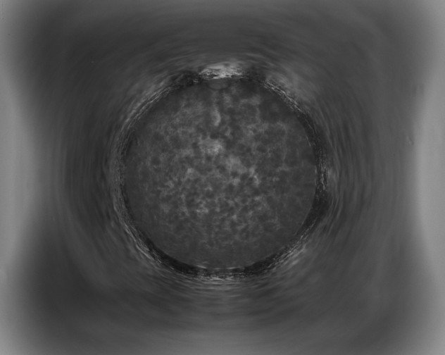 X0000087321393200704201102