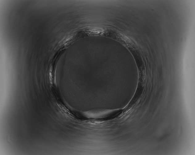 X0000087321394200704201102