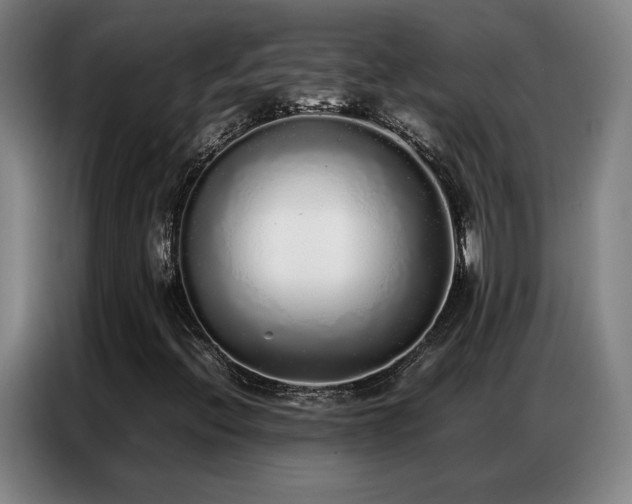 X0000087321396200704201102