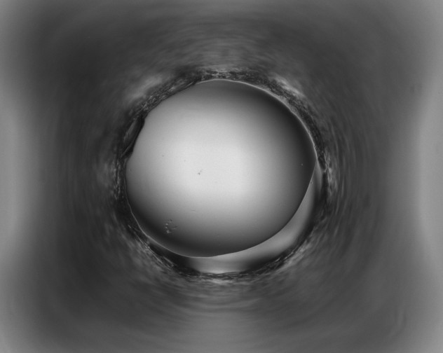 X0000087321398200704201102
