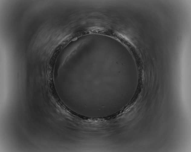 X0000087321399200704201102