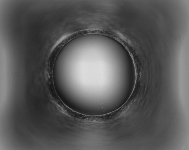 X0000087321400200704201102