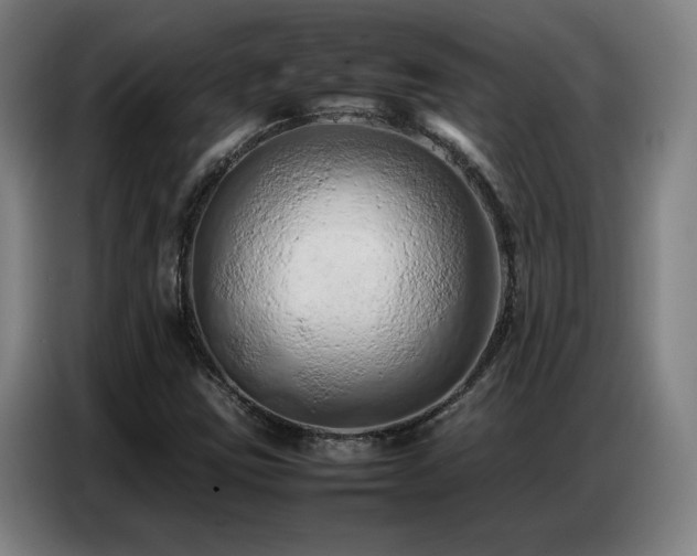 X0000087321403200704201102