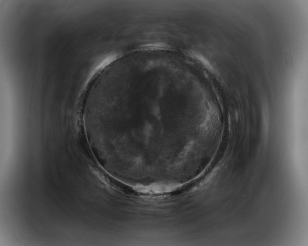 X0000087321405200704201102