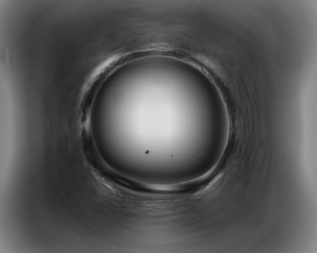 X0000087321406200704201102