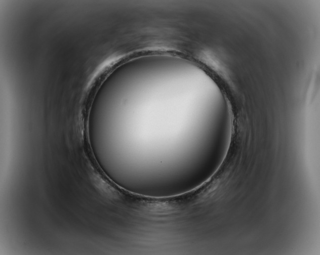X0000087321408200704201102